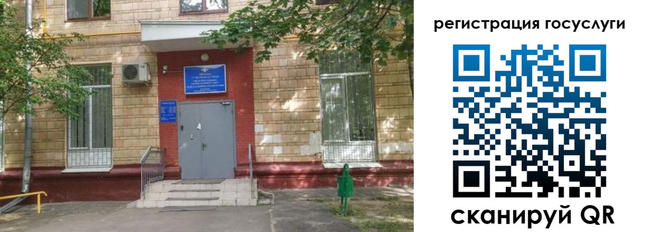 прописка паспорт в Пионерском